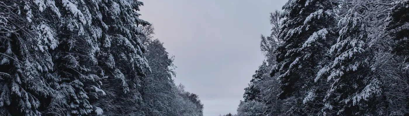 Alt media trees